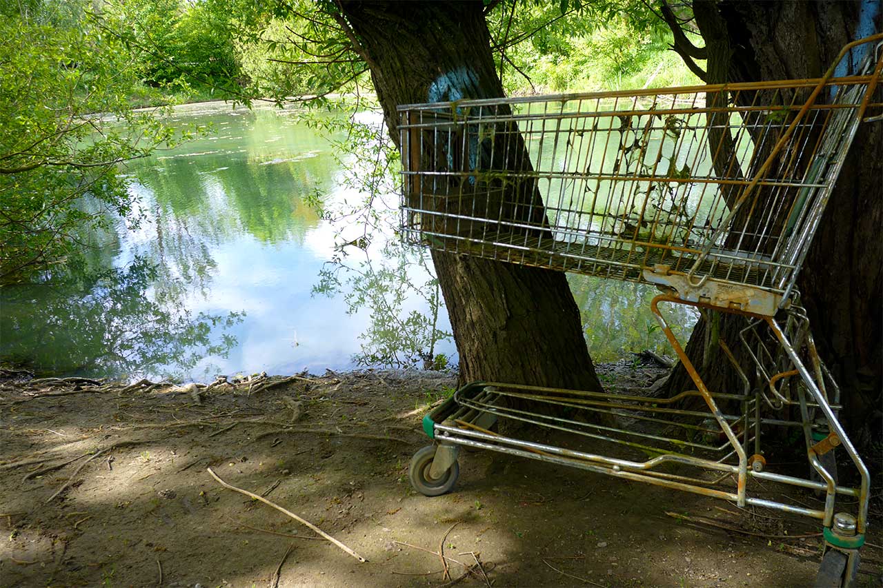 Einkaufswagen am See
