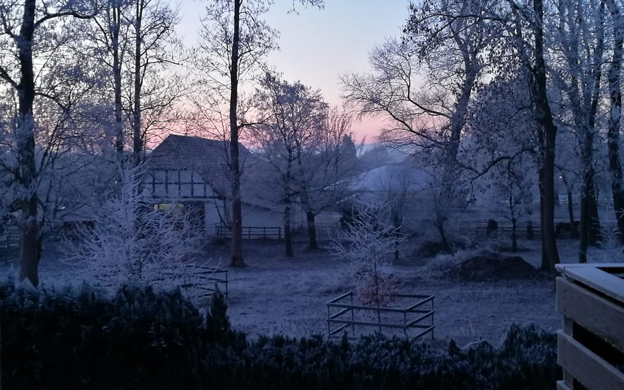 Pferdekoppel im Winter