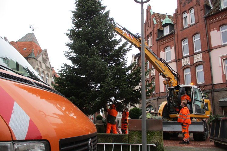 Weihnachtsbaumaufstellung