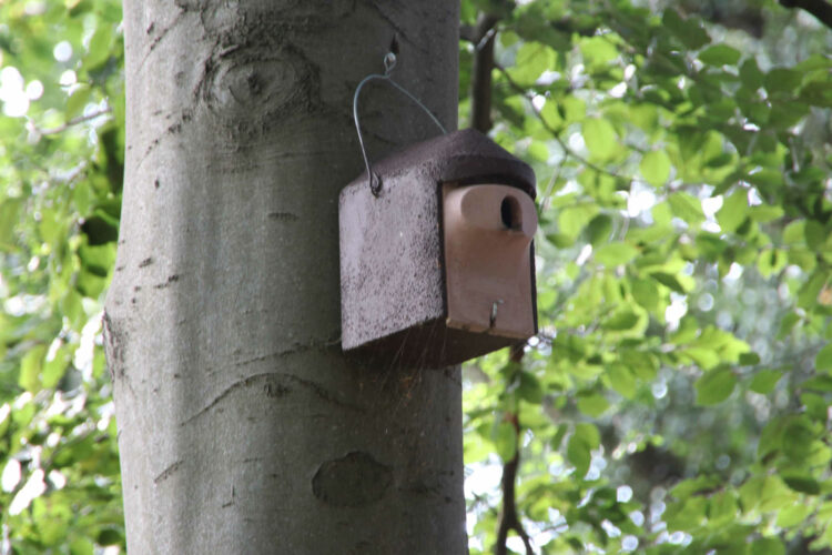 Nistkasten an Baum