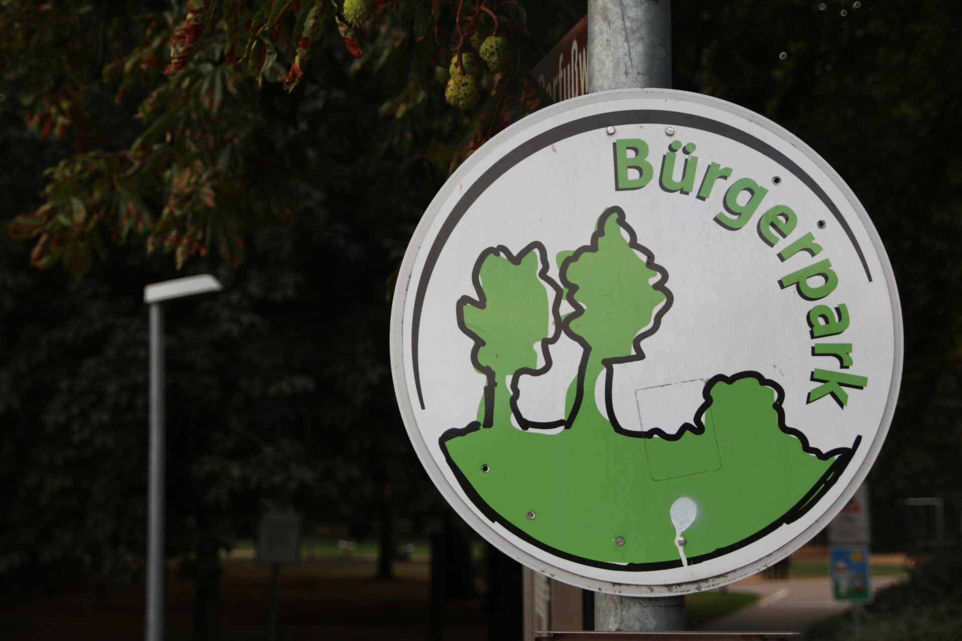 Bürgerpark