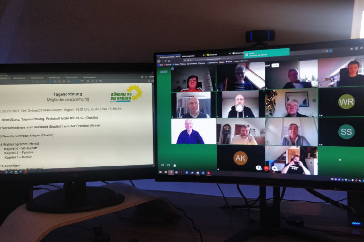 Webkonferenz Grüne